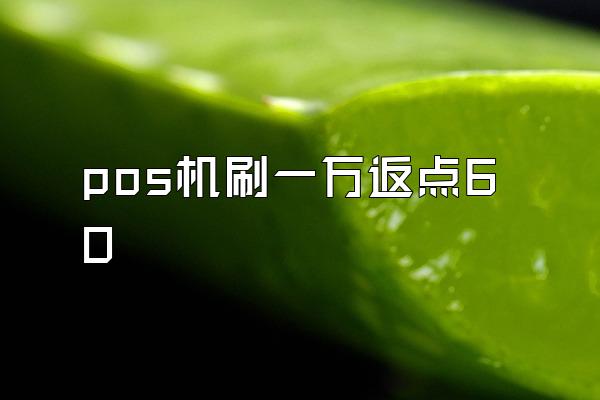 pos机刷一万返点60