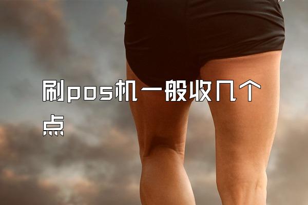 刷pos机一般收几个点