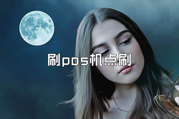 刷pos机点刷