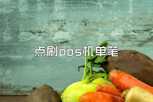 点刷pos机单笔