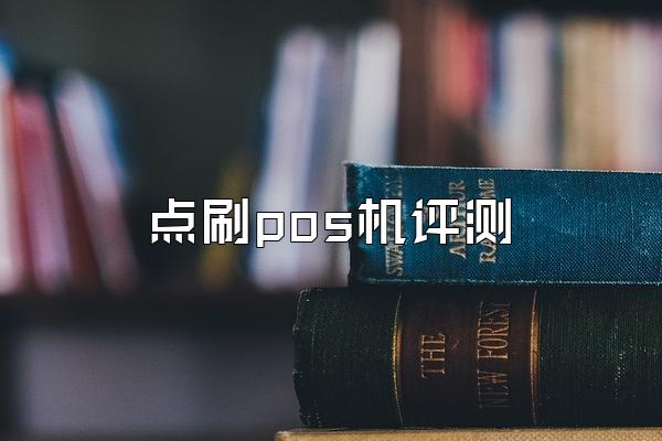 点刷pos机评测