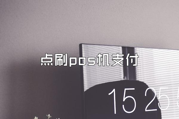 点刷pos机支付